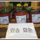 금산로컬푸드 이미지