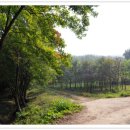 약탕골황토방 이미지