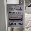 펫 갤러리아 | N32 갤러리아 광교점 모션베드 매트리스추천 받은 후기