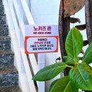 쇼 | 경산 대형카페 이루팜 경산본점｜생과일주스부터 과일와플까지 제대로 즐기고 온 내돈내산 후기