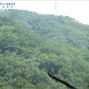 동해시-32 이미지