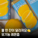 다이어트 레몬즙 찾는다면💛 귤메달 유기농 레몬즙으로 물 습관잡자