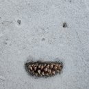 하나로마트(성당) | 초등학생 둘과 강원도 평창 1박2일 여행 | 성필립보 생태마을 후기 두부체험 추천 꿀팁