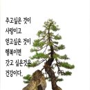오분 이미지
