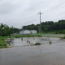 노계1동마을회관 이미지