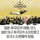 아시아고속관광㈜ | 일본 후쿠오카 여행 코스 일본 야구 후쿠오카 소프트뱅크 호크스 티켓 예약 방법