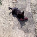 해피팜농장 이미지