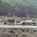 돌개 마실 캠핑장