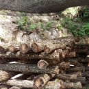 꿈의농장 이미지