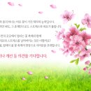 (4/4)[부천시 시정메모] 부천의 봄, 릴레이 봄 꽃 축제의 현장으로 초대합니다. 이미지