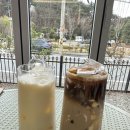 진주축협 동물병원 | 금호지 카페 폰디 | 진주 실내애견동반카페 내돈내산 후기