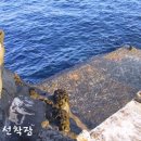 마라도별장민박 Daum카페