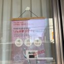 썬미용실 | 바스인더썬 성북구애견미용에 다녀온 후기예요