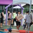 도그 스포지움 이미지