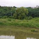 왕숙천고향의강 이미지