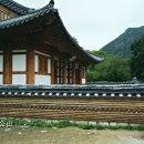 담 이미지