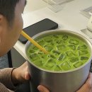 로얄애견 이미지