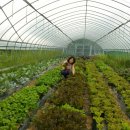 한송농장 이미지