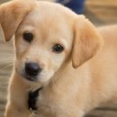 수유온누리약국 이미지