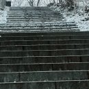병점근린공원 이미지