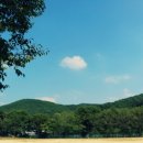 하빈면사무소 이미지