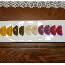 오색 당구장 이미지