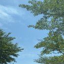 하유일기 이미지