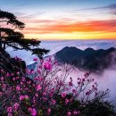 암 이야기- 육안상 암 같은데 세침조직검사상 음성이면? 이미지