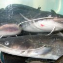 보림모텔 이미지