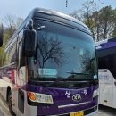 삼정고속관광 이미지