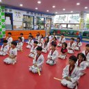 알로하태권도장 이미지