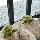 바다가 보이는 루프탑하우스 | 고성 바다가 보이는 통창 대형 오션뷰 루프탑 카페 '스위밍 터틀' 내돈내산 후기