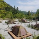 솔향가득서울캠핑장 이미지