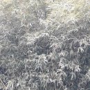 주안4동주민센터 이미지