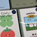 원진민박 이미지