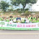 감사나무 이미지