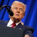 혼란스러운 주식시장에서 투자자를 이끄는 밈, 'TACO 트레이드'에 대해 알아야 할 것(해외) 이미지