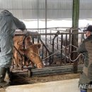 병군농장 뉴시스