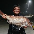 벵에돔회 에 한치찜 그리고 참돔회 비오는주말 서귀포 낚시 여행 이미지