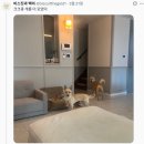 자네는 평소 발을 소중히 여기지 않았지.. (1)