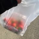 마재농원 이미지