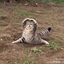 영해빌딩 이미지