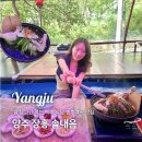 솔내음 | [양주] 장흥 백숙 계곡 발 담그고 먹는 백숙 식당 솔내음 내돈내산 후기