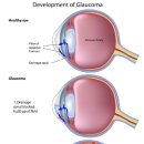 24시폴동물병원 이미지