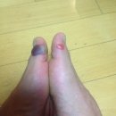 부부보부