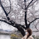 오늘도참예쁘다