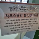 카페인하우스