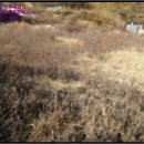 선원면-5 이미지