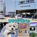 별내동 별내성당 앞 도로 | 남양주 자동차 검사소 별내자동차검사소 애견동반 가능한 종합검사 후기