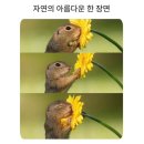 룰루랄라 - 안산시 단원구 부흥로 241-65 | 룰루랄라